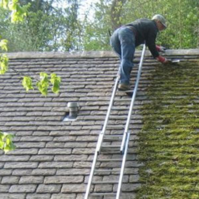 roof cleanup